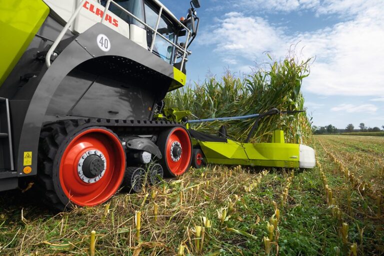 Ενσιρωτική CLAAS JAGUAR σε χωράφι με καλαμπόκι